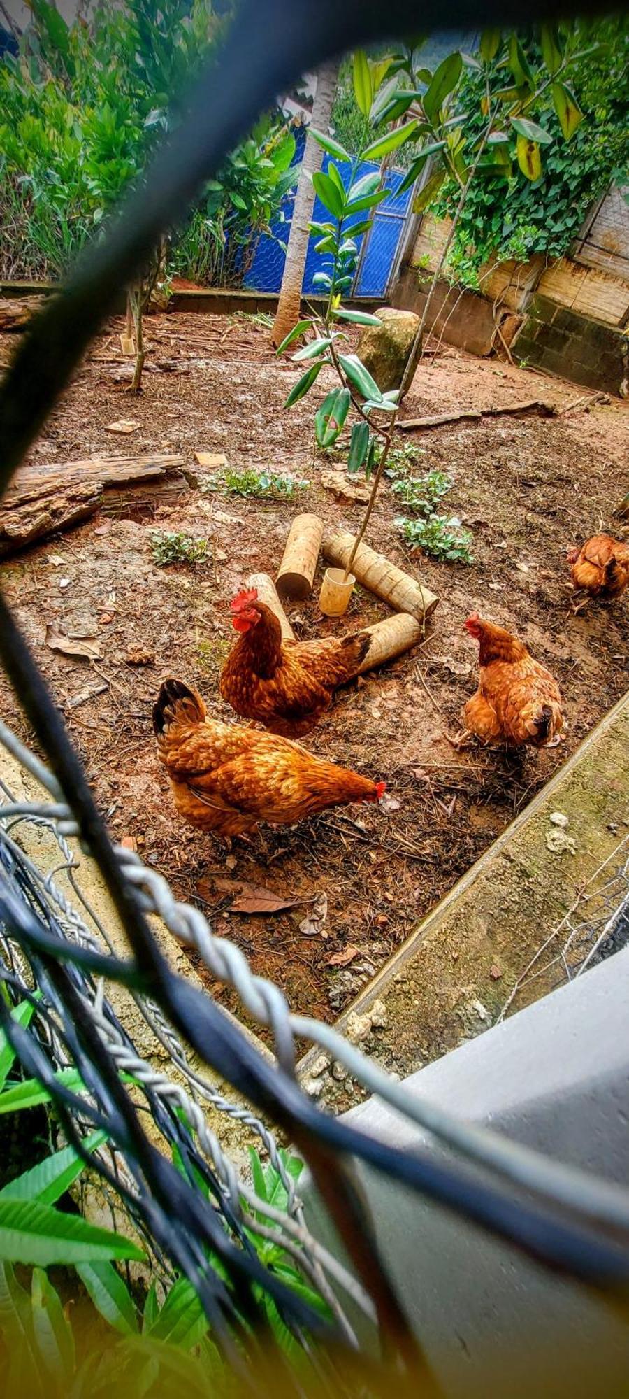 Rancho Acacia Sao Roque Ξενοδοχείο Εξωτερικό φωτογραφία